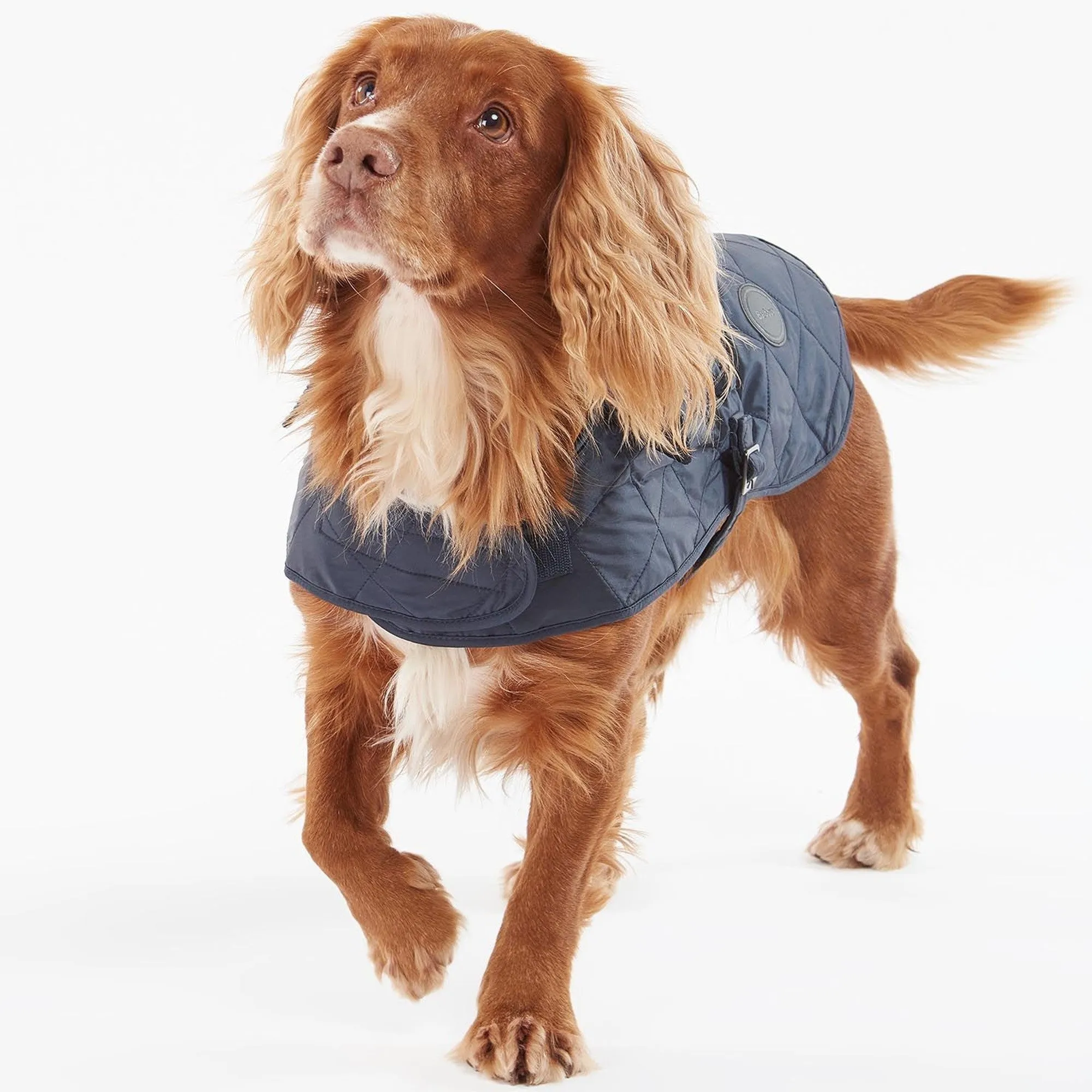 Barbour Quilted Dog Coat - Navy