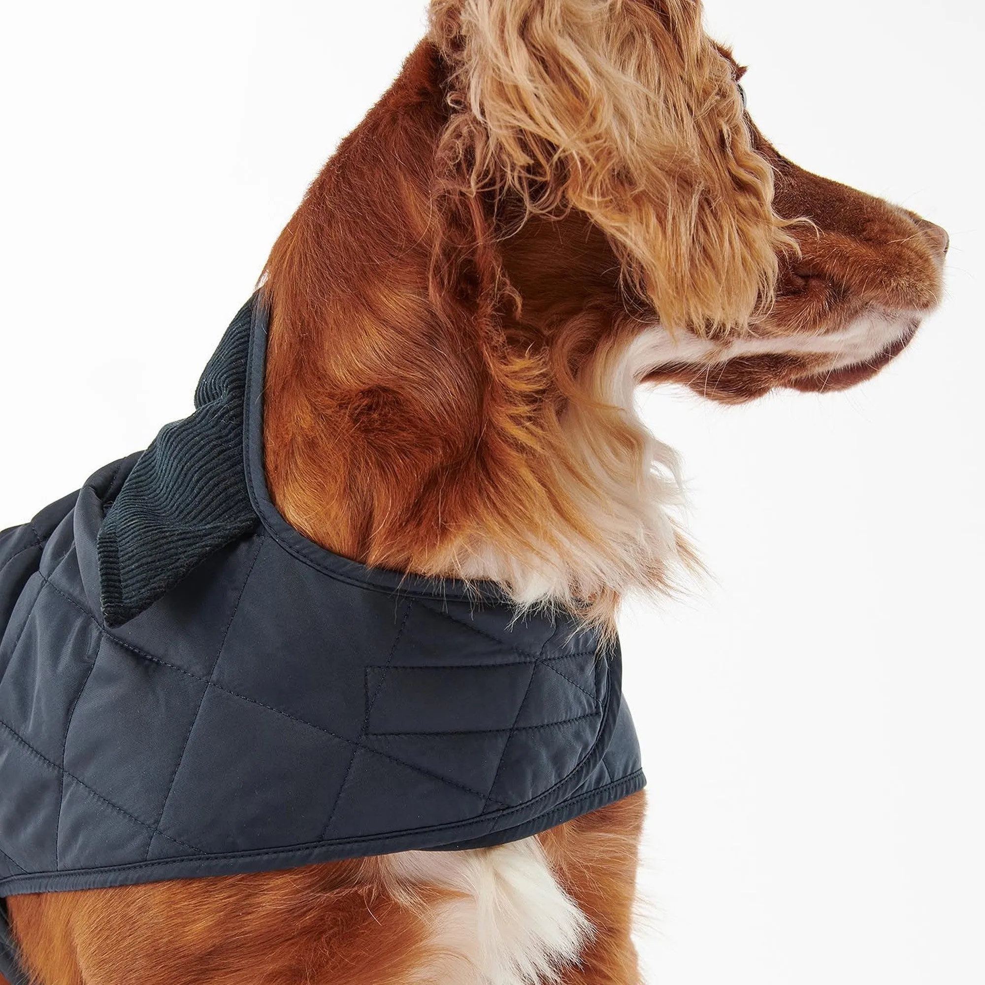 Barbour Quilted Dog Coat - Navy