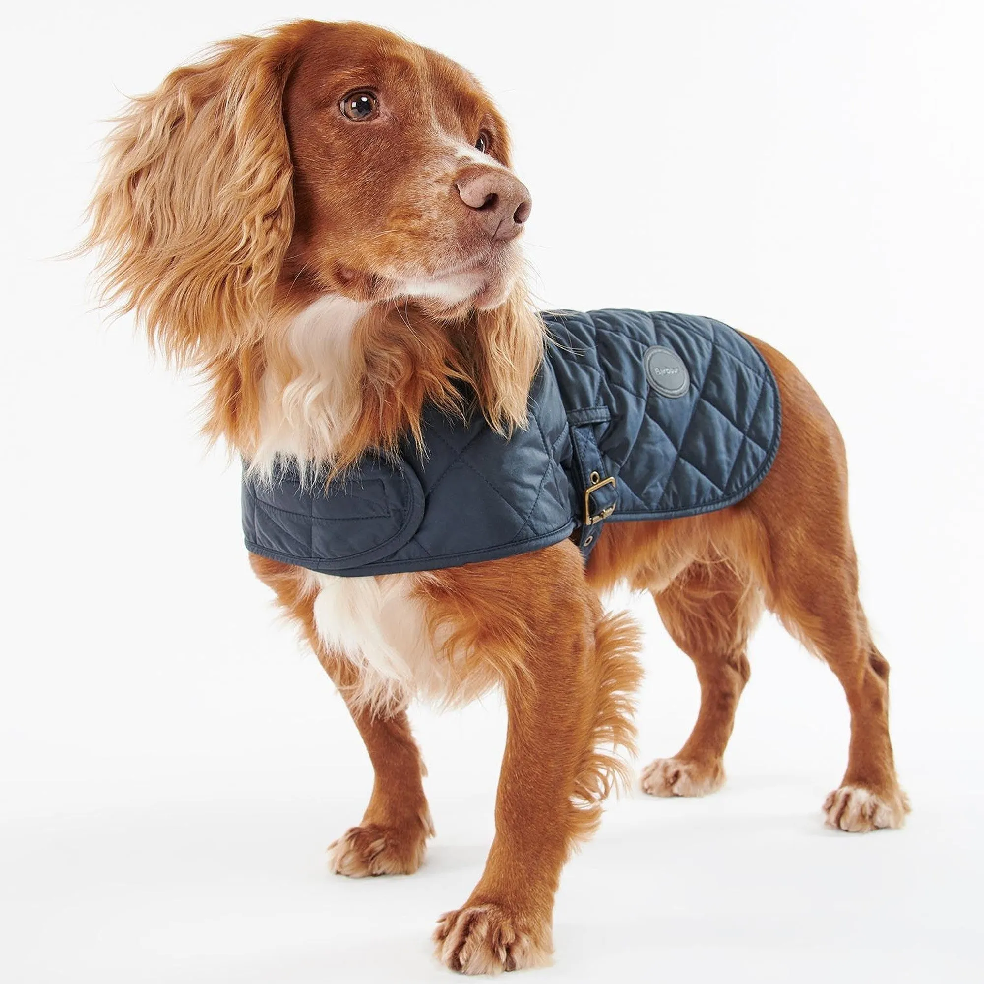 Barbour Quilted Dog Coat - Navy